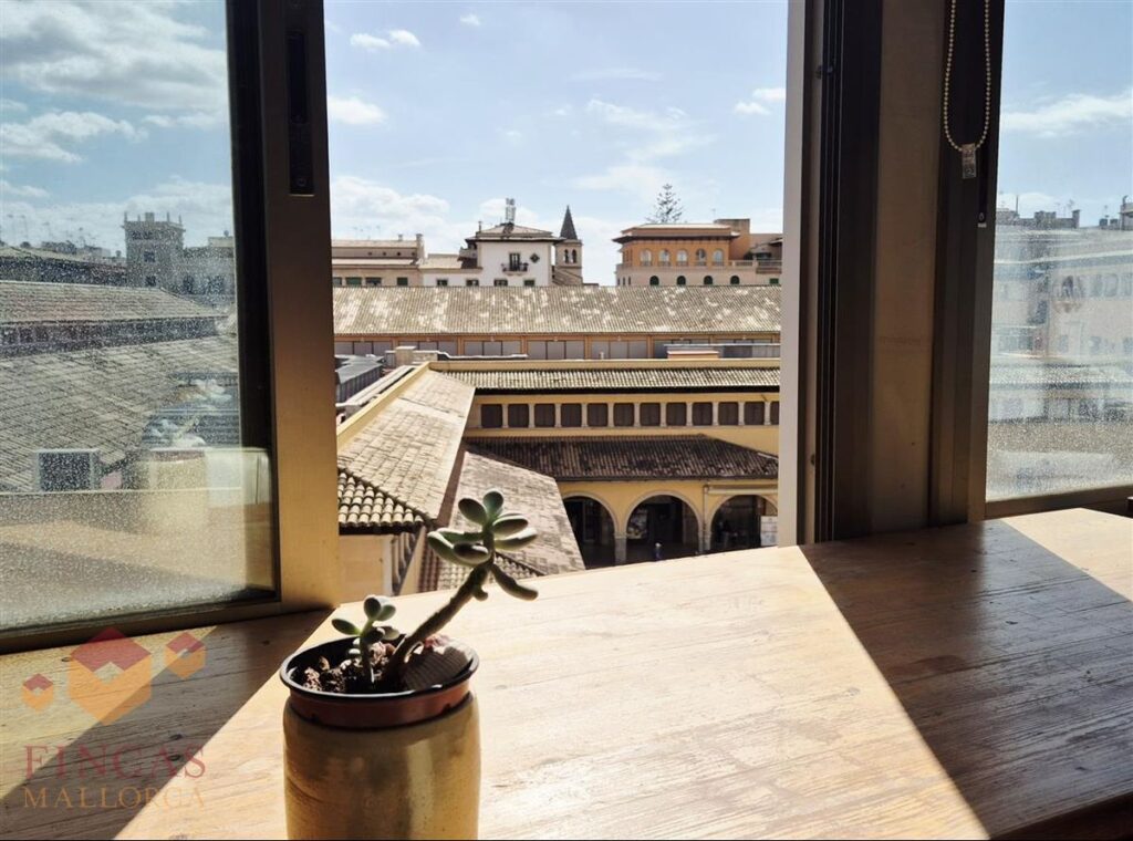 Mesa con una planta junto a la ventana y vistas al mercado del Olivar y los tejados, Palma