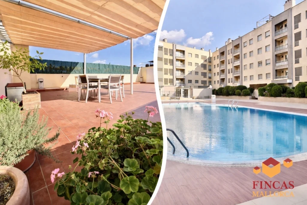 atico solarium piscina palma zona parc femu