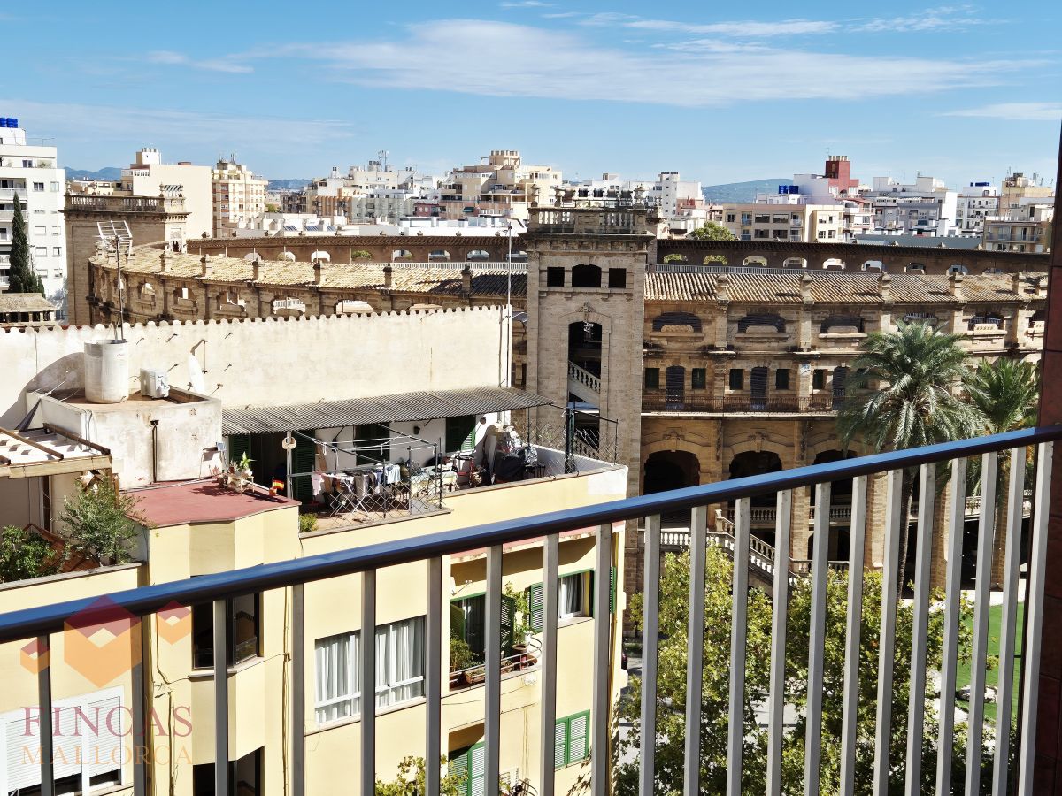 Piso alquiler Plaza Toros Palma
