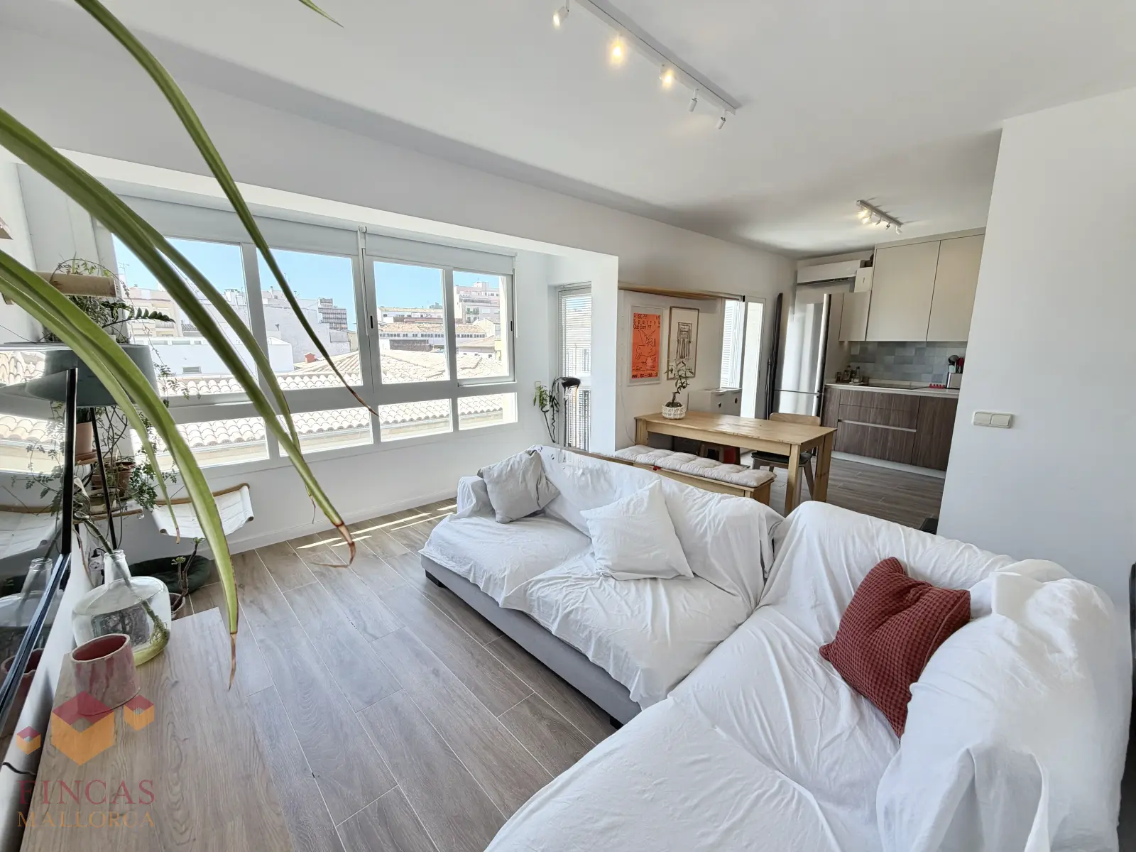 Salón luminoso con sofá y cocina abierta del piso vendido en Foners, Palma